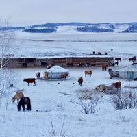 LANGYARNS Noble Nomads Yurte im Schnee_W50